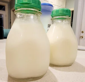 Two glass milk bottles with green caps, filled with fresh milk, placed on a kitchen countertop. Soft lighting enhances the creamy texture of the milk, creating an inviting atmosphere.